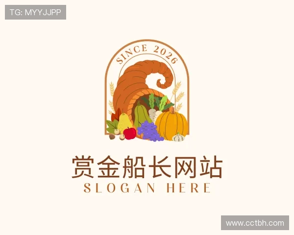 解读赏金船长网站